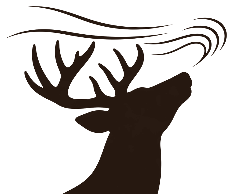 Scent & Sign buck — nose to the wind